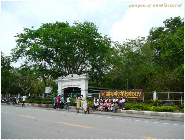 NST215.JPG